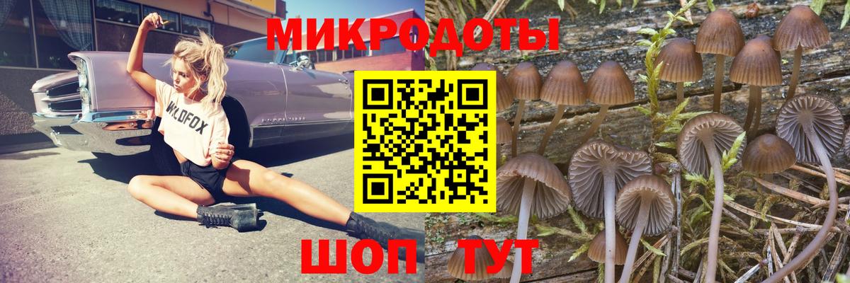 Верхняя Пышма  Галлюциногенные грибы Psilocybe  Вход с VPN 