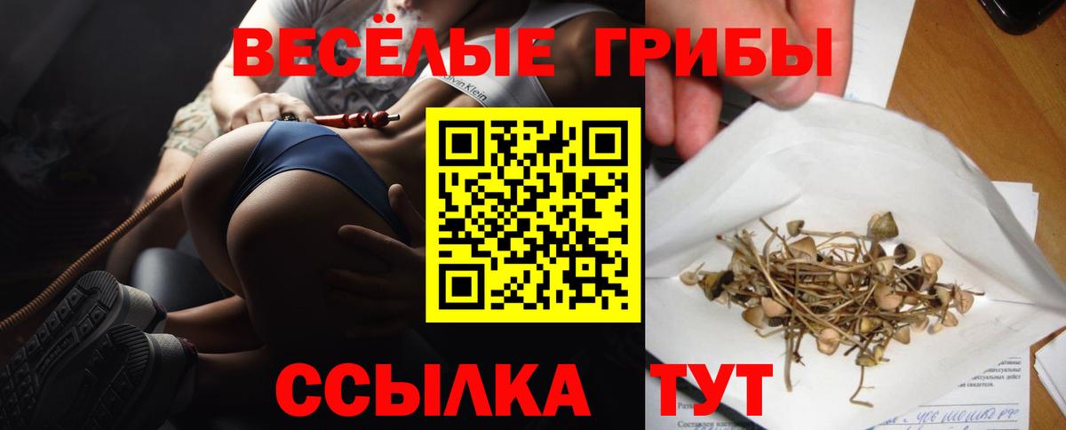Псилоцибиновые грибы Magic Shrooms Верхняя Пышма